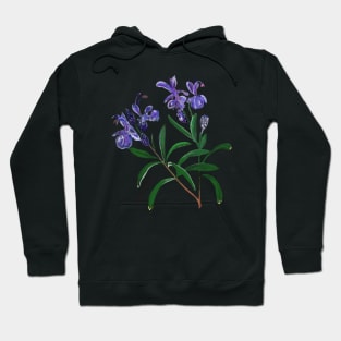 Rosemary Hoodie